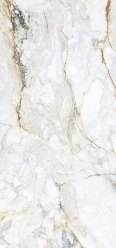 PISA GOLD 60×120 RETT