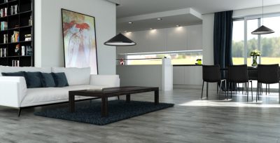 SCANDINAVIA grey 15.5×62 K5 054 (P/Z)