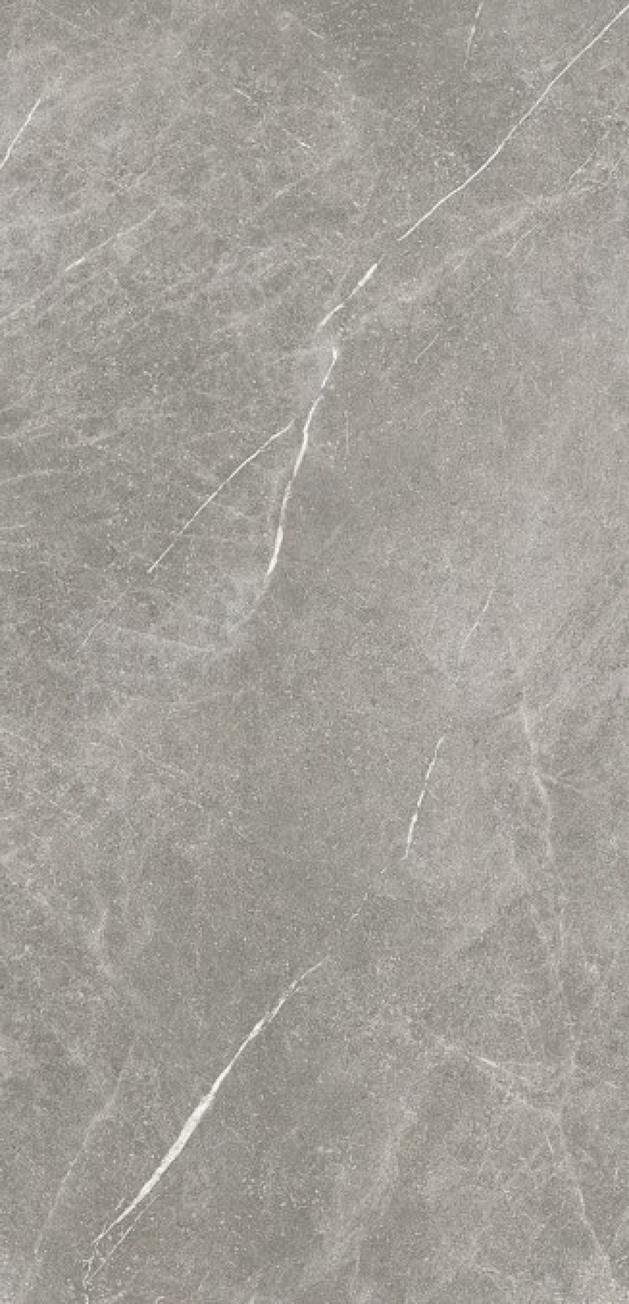 STAR grey 60x120 rett D49 7
