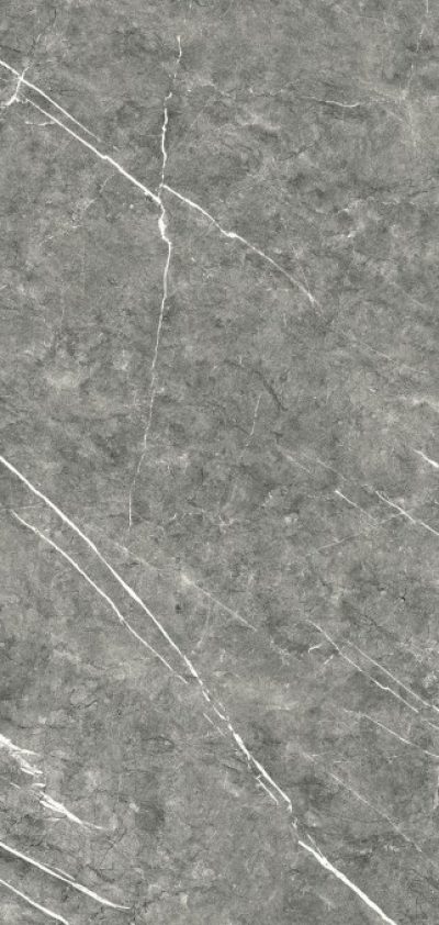 COLUMBIA gris matt 60×120 LA02 0R (P)