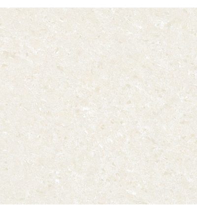 Polirani granit (PG-P302) 60×60 rett HJE77 (P)