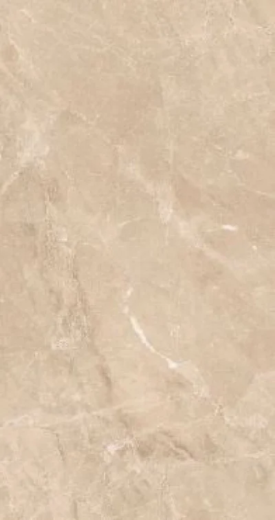 Novana Sepia 60×120 (PGVS-B865) rett