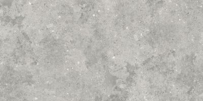FLORYS light grey matt 59.8×119.8 rett A20