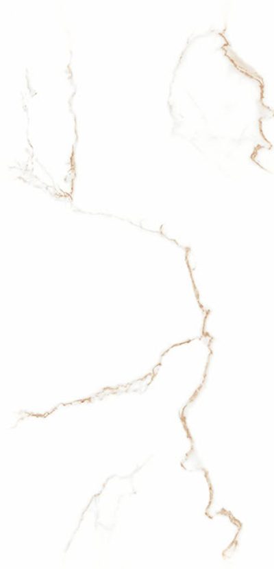 GPT1118 white gold matt 59.8×119.8 rett S