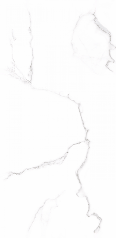 GPT1118 white silver matt 59.8×119.8 rett S