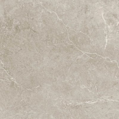 NIVAL gris 60.5×60.5 NC05 2F (P/Z)