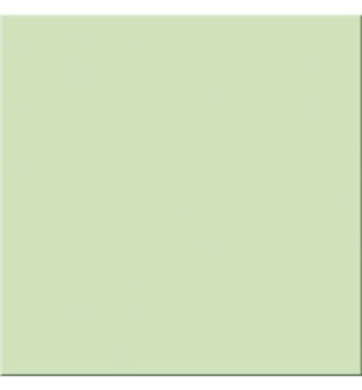 MINT ZELENA mat 20×20 50