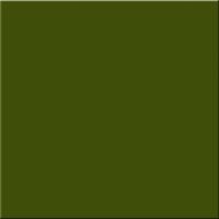 ZELENA mat 20×20 50