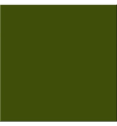 ZELENA mat 20×20 50