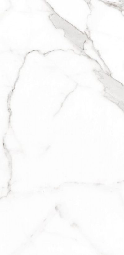 PALATINA blanco mate 60×120 rett C04 0R (P)